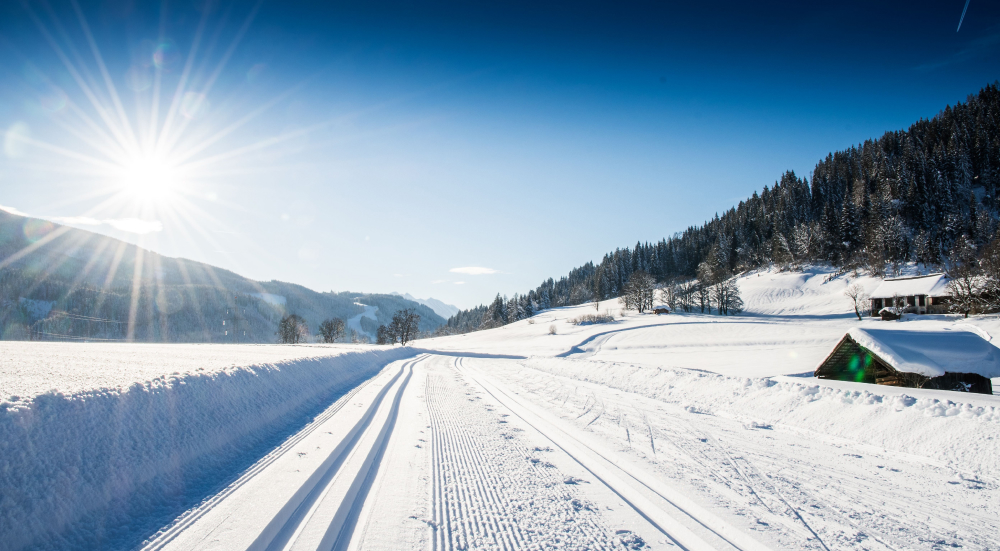Langlaufen auf bestens präparierten Loipen © Flachau Tourismus/VERENA BUCHSTEINER