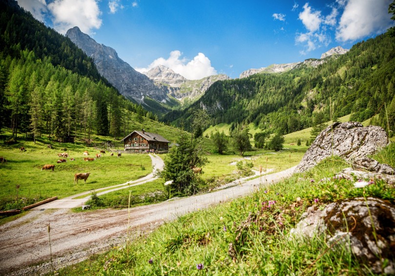 Wanderweg Marbachtal © Flachau Tourismus 