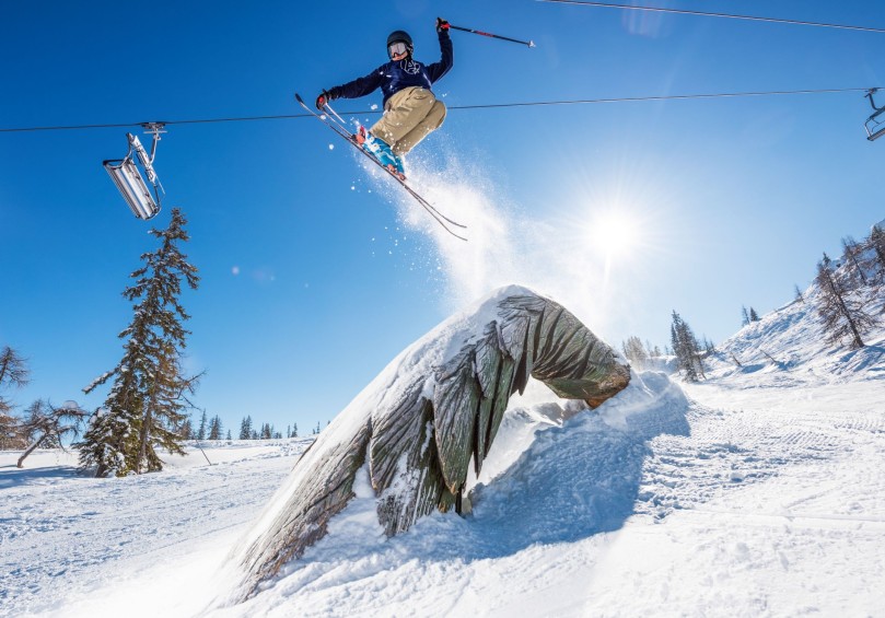 Obstacles im Absolut Park© Flachau Tourismus | zooom productions 