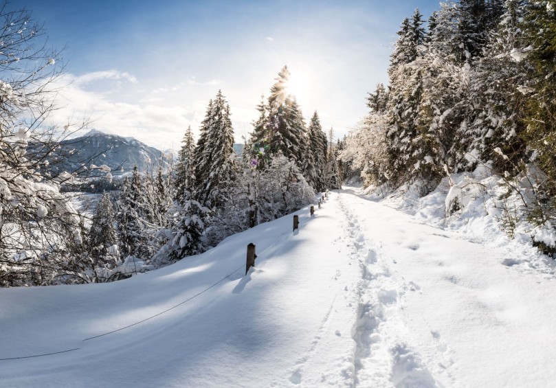 Tief verschneite Landschaft © Flachau Tourismus