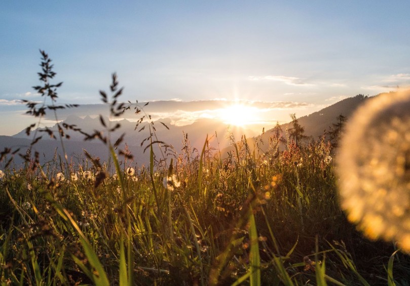 Blick vom Sattelbauer in Richtung Dachstein © Flachau Tourismus